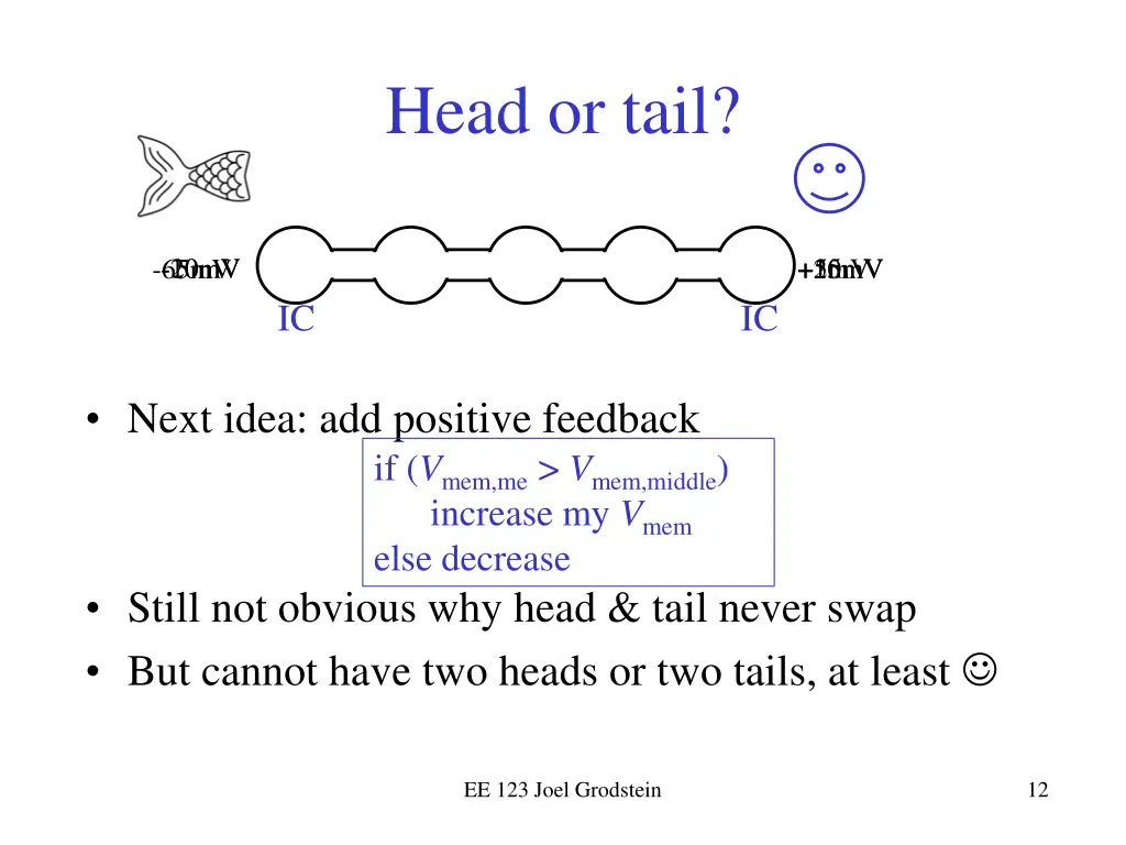 head or tail 1