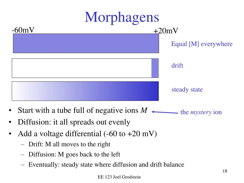 morphagens