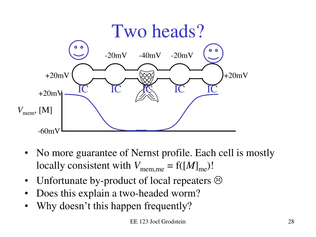 two heads