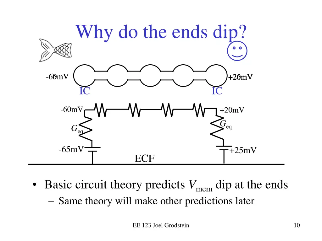 why do the ends dip