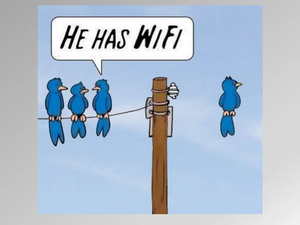 slide4