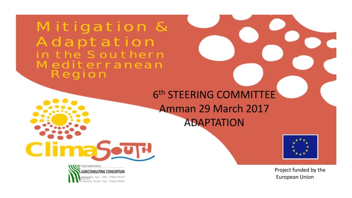 6 th steering committee amman 29 march 2017