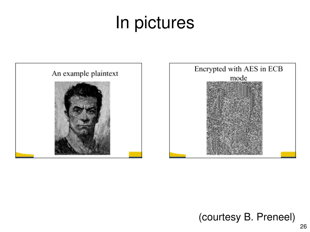 in pictures