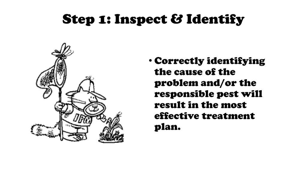 step 1 inspect identify