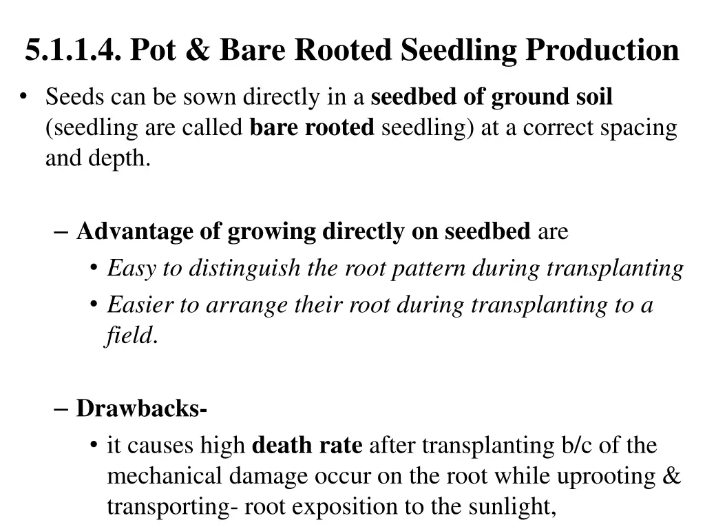 5 1 1 4 pot bare rooted seedling production