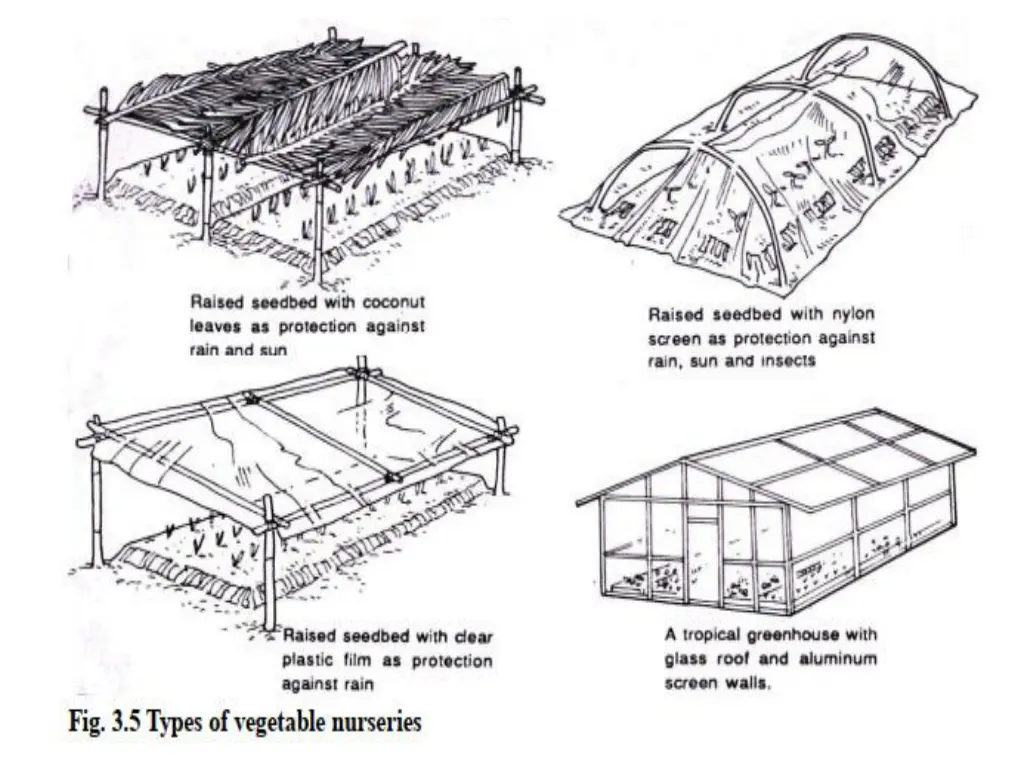 slide11