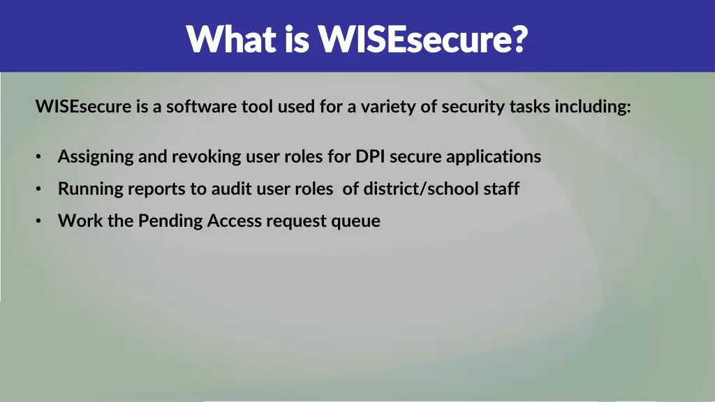what is wisesecure what is wisesecure