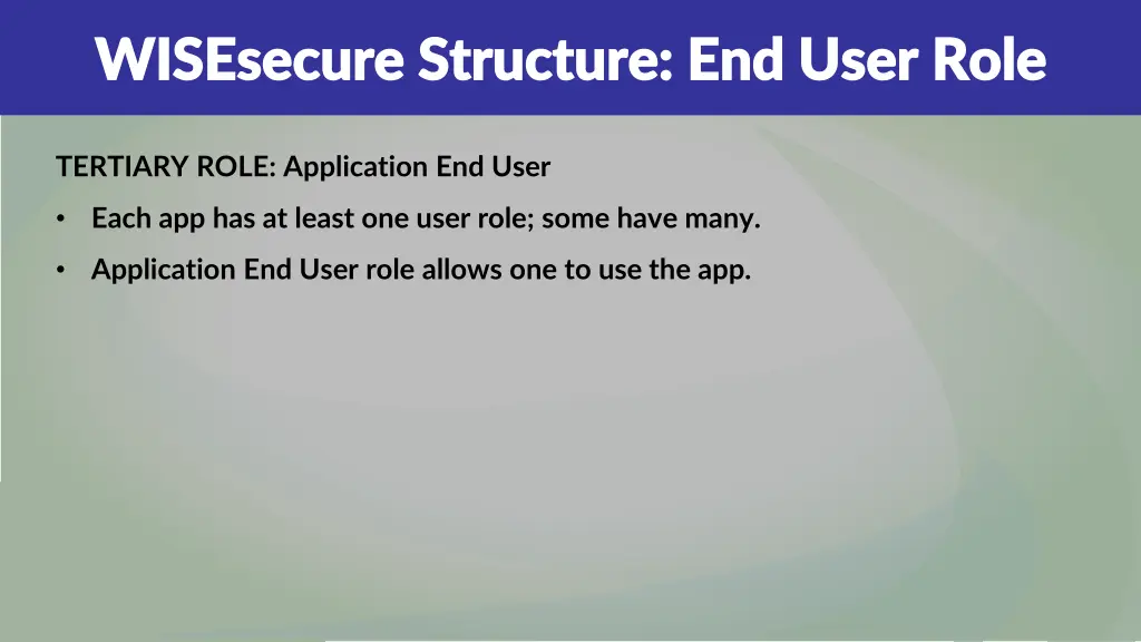 wisesecure structure end user role wisesecure