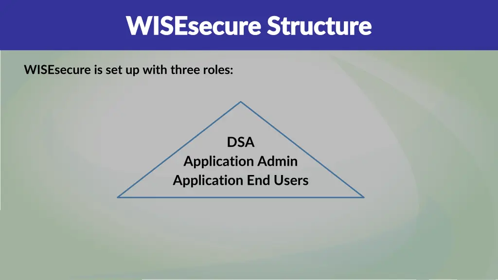 wisesecure structure wisesecure structure