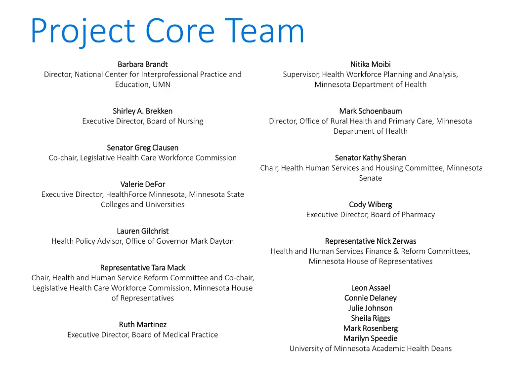 project core team