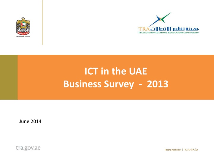 ict in the uae business survey 2013