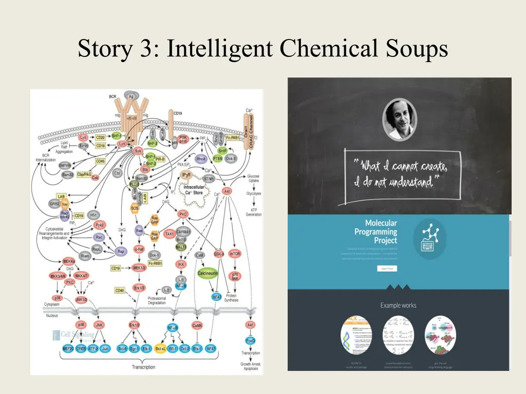 story 3 intelligent chemical soups