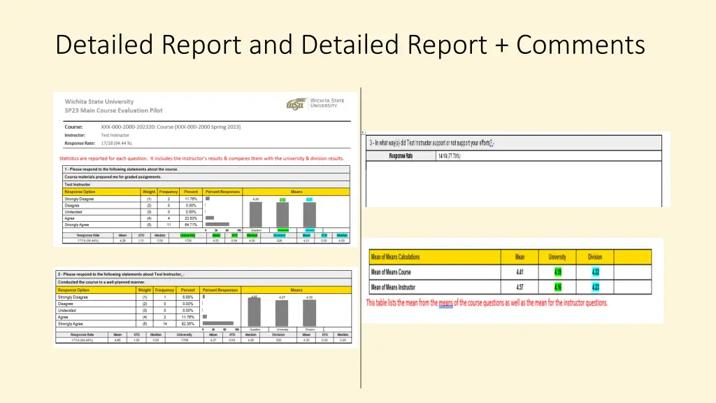 detailed report and detailed report comments