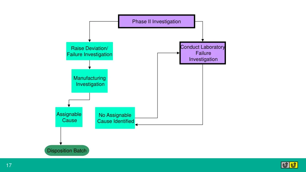 phase ii investigation