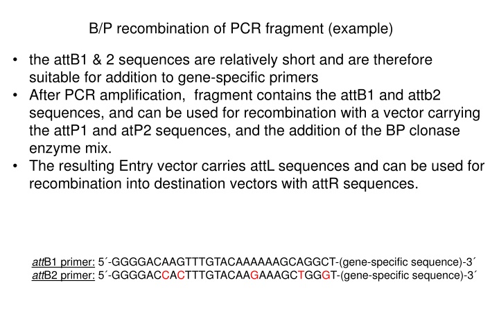 b p recombination of pcr fragment example