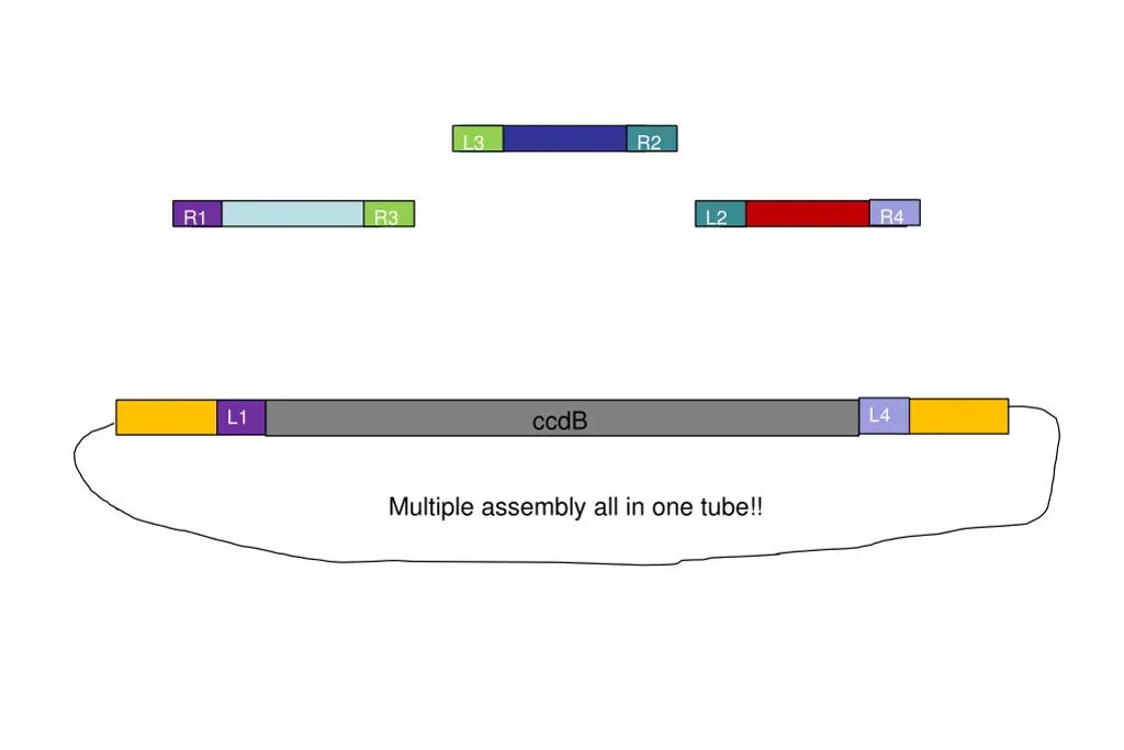 slide6