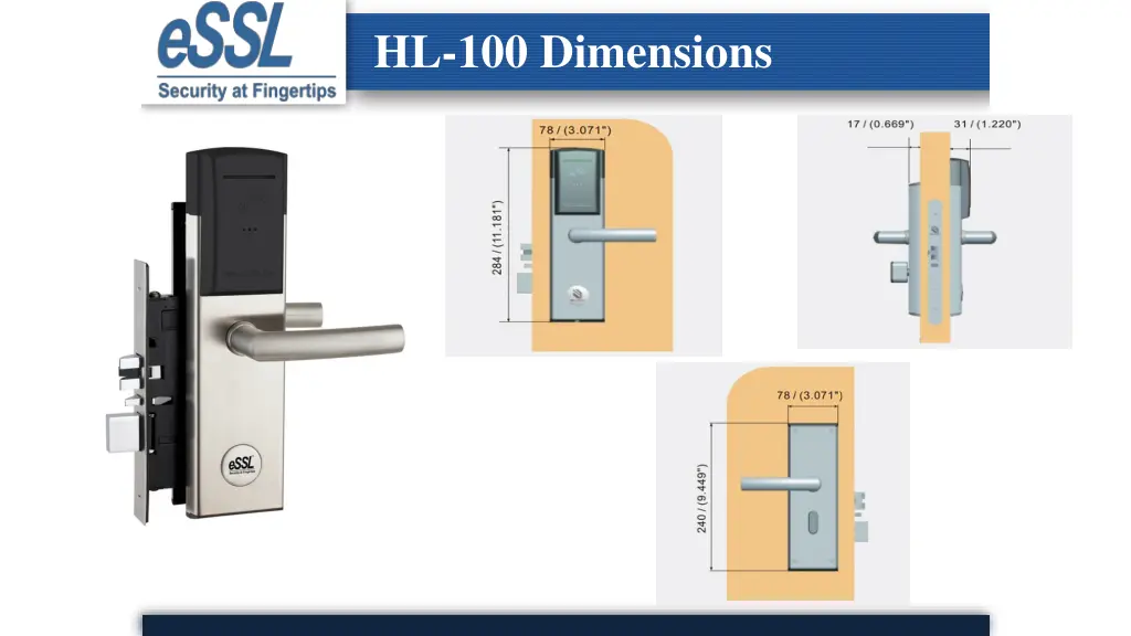hl 100 dimensions