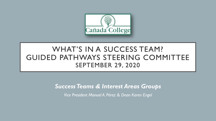 what s in a success team guided pathways steering