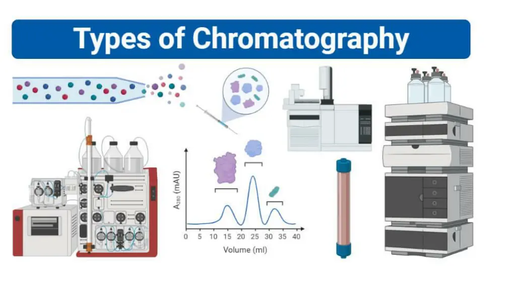 slide11