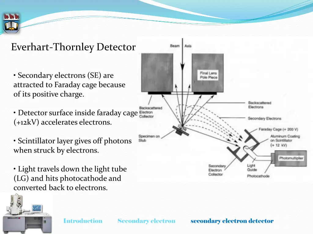 everhart thornley detector