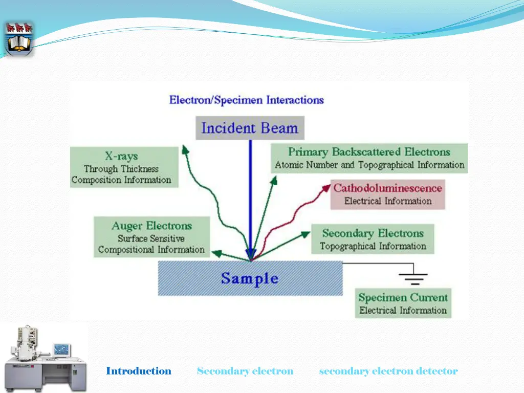 introduction secondary electron secondary