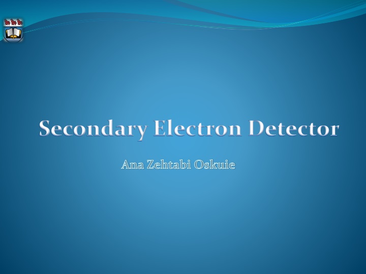 secondary electron detector