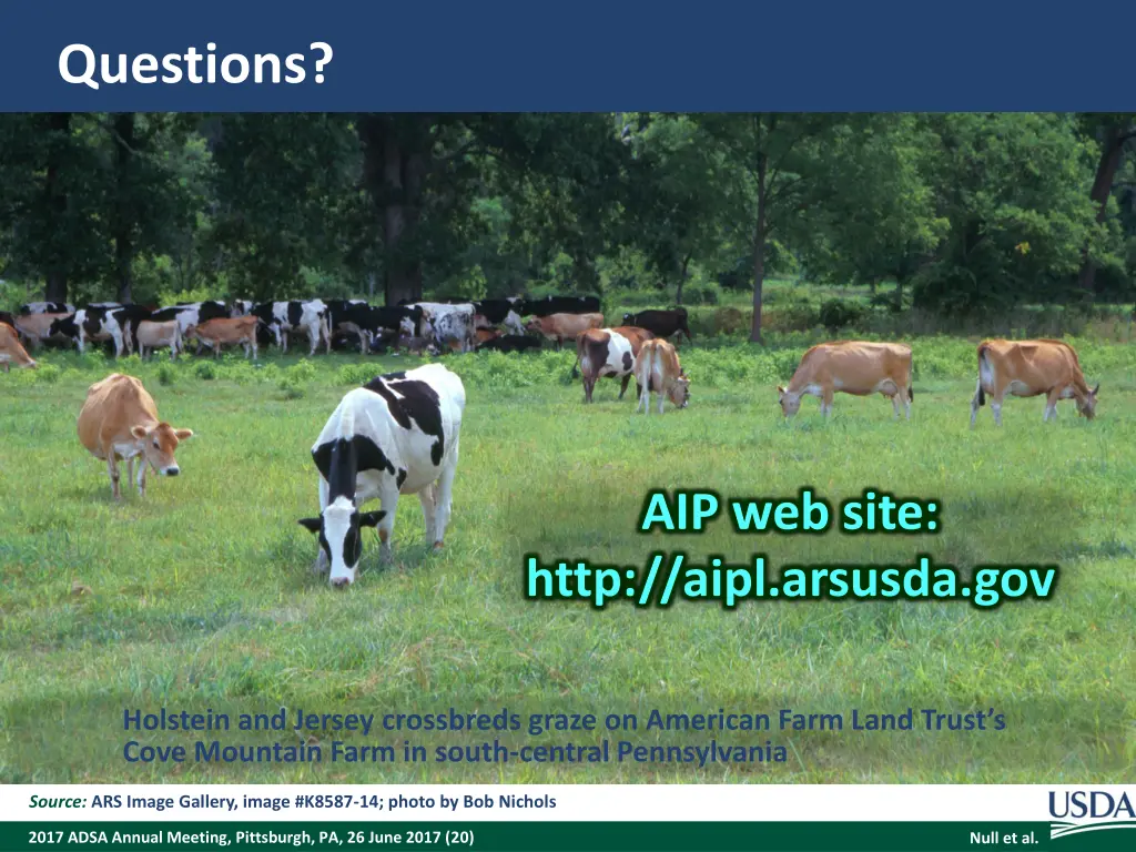 questions