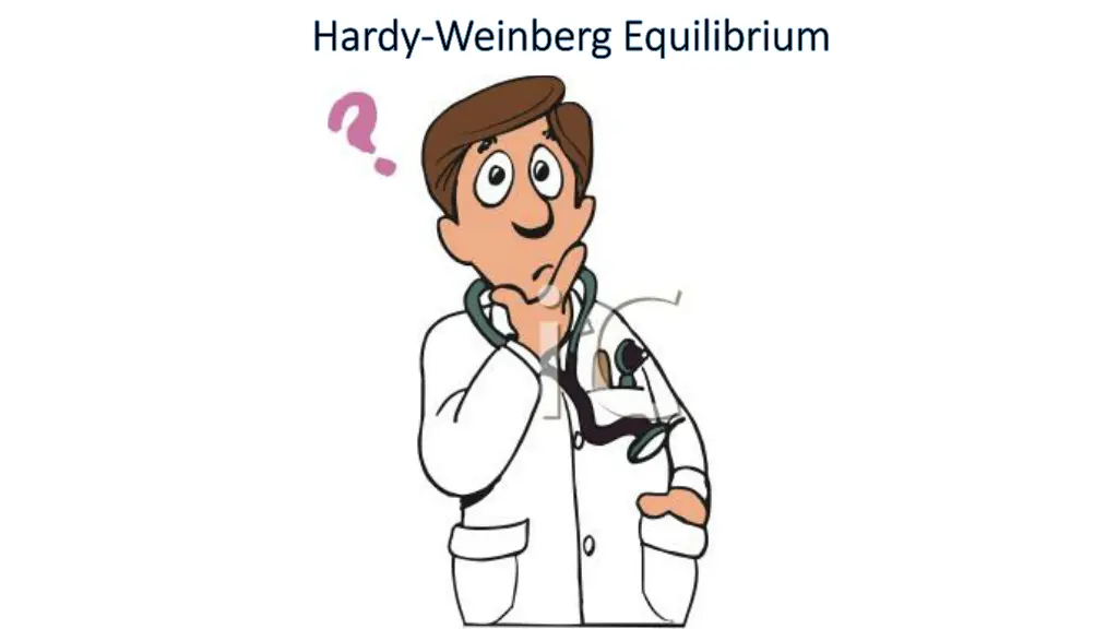 hardy hardy weinberg equilibrium weinberg 1