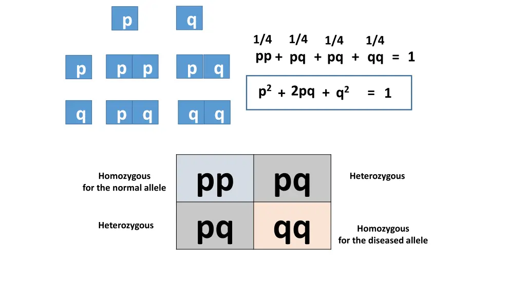 slide10