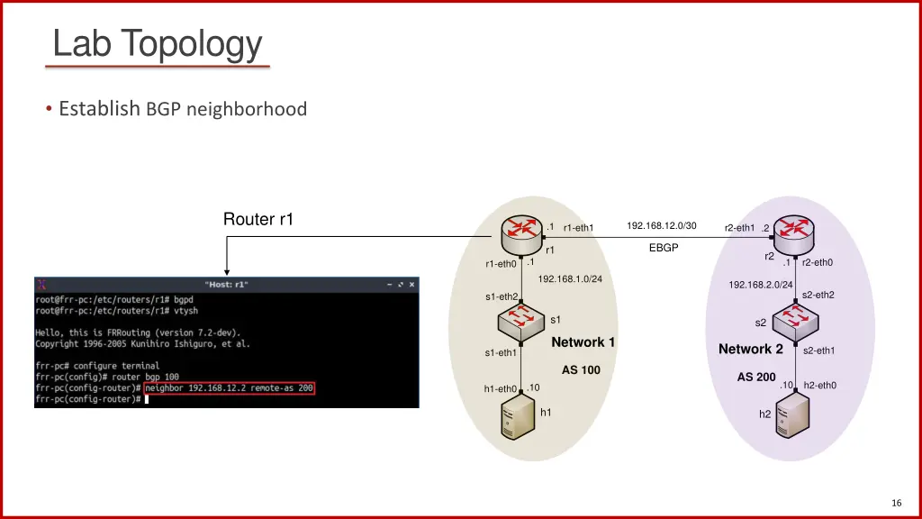 lab topology