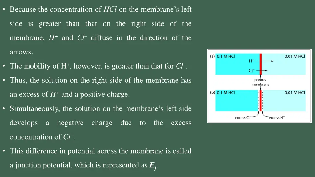 because the concentration of hcl on the membrane