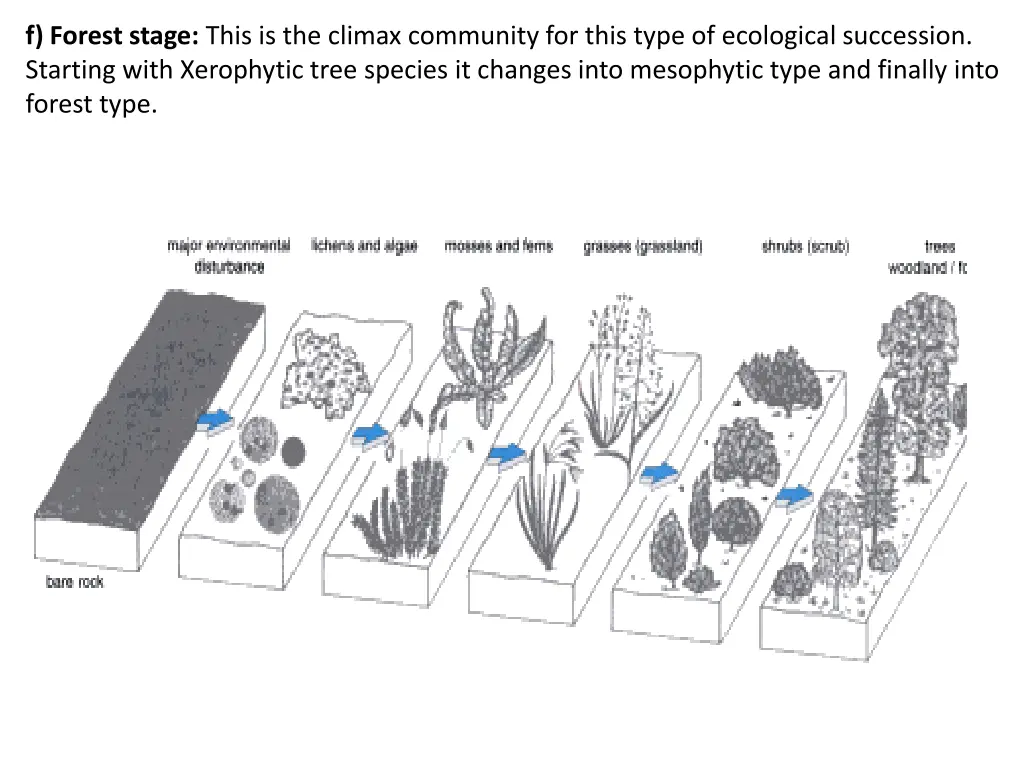 f forest stage this is the climax community