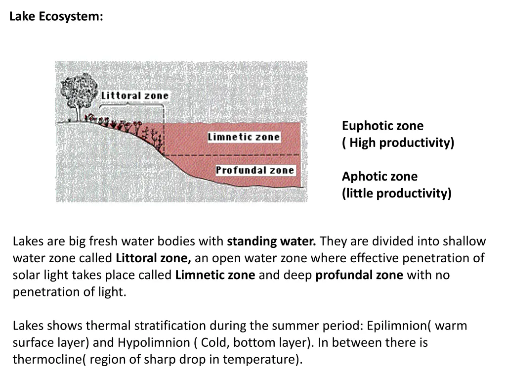 lake ecosystem