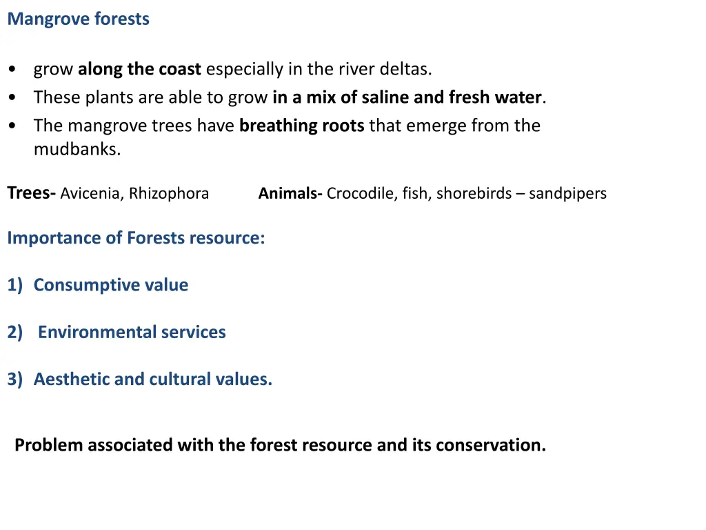 mangrove forests