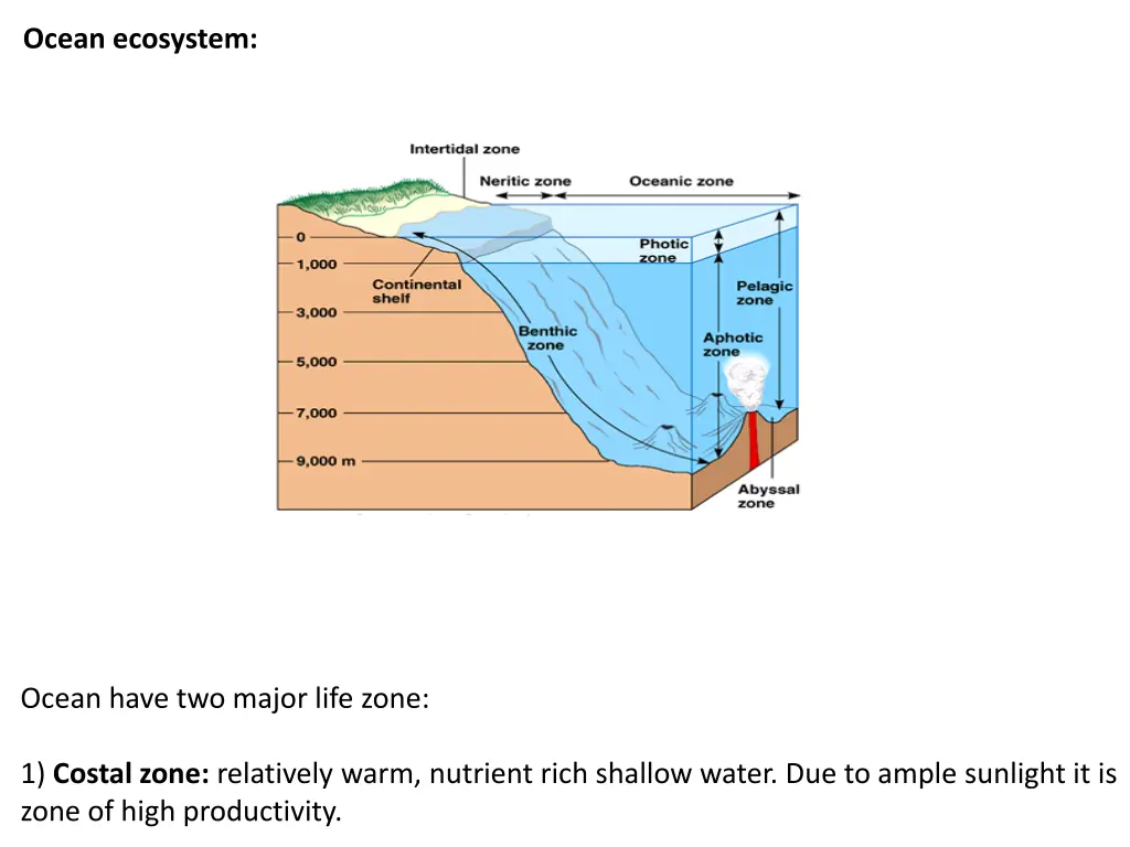 ocean ecosystem