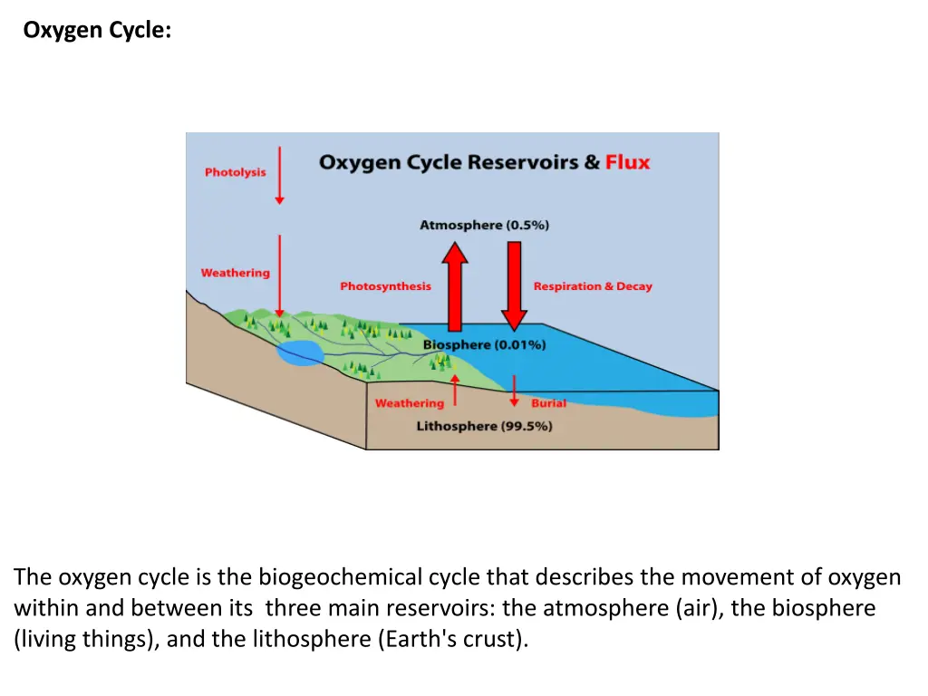 oxygen cycle