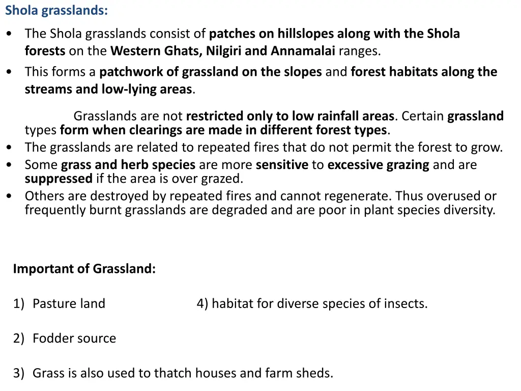 shola grasslands