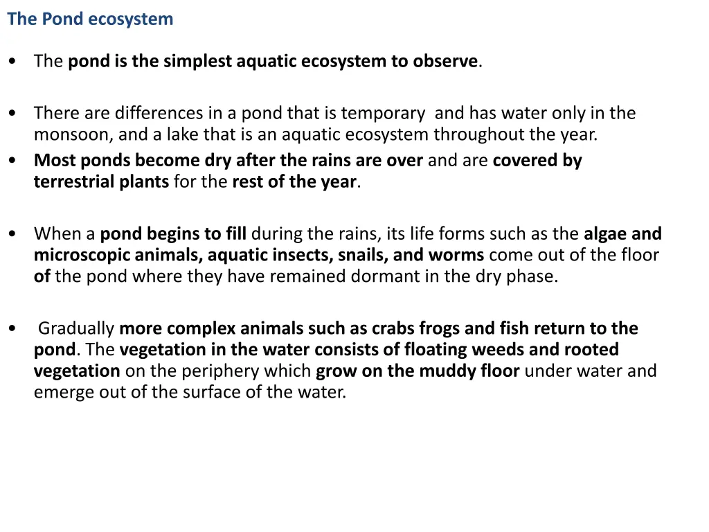 the pond ecosystem