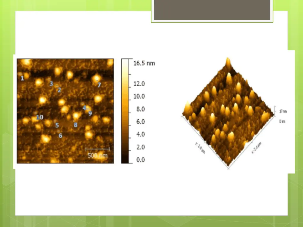 slide19