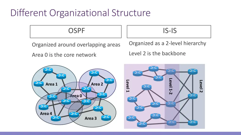 different organizational structure