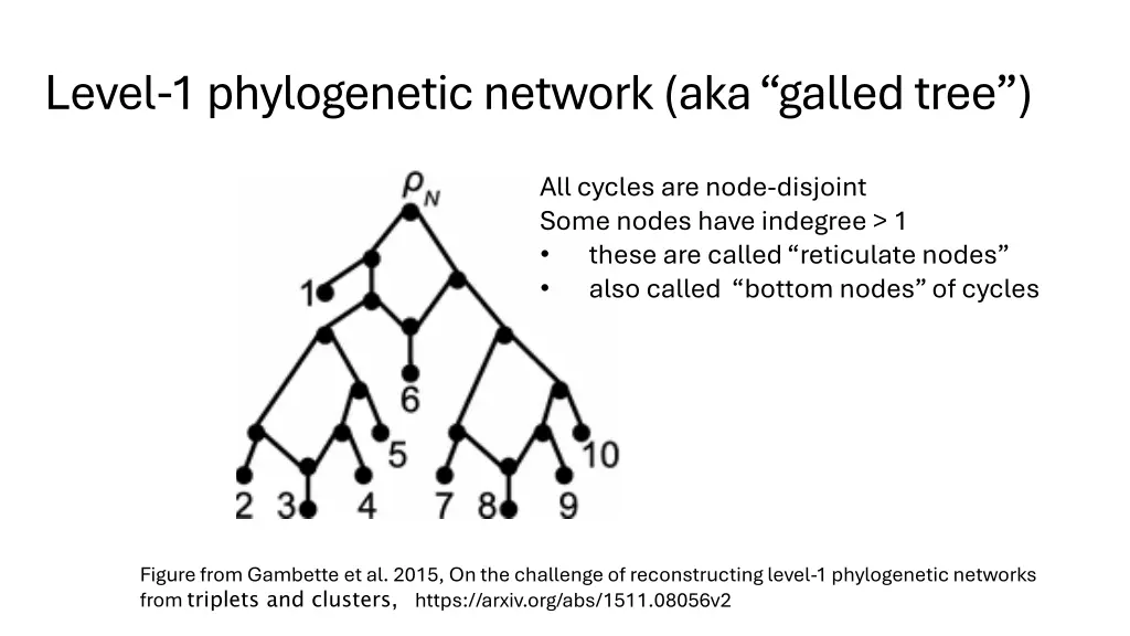 level 1 phylogenetic network aka galled tree