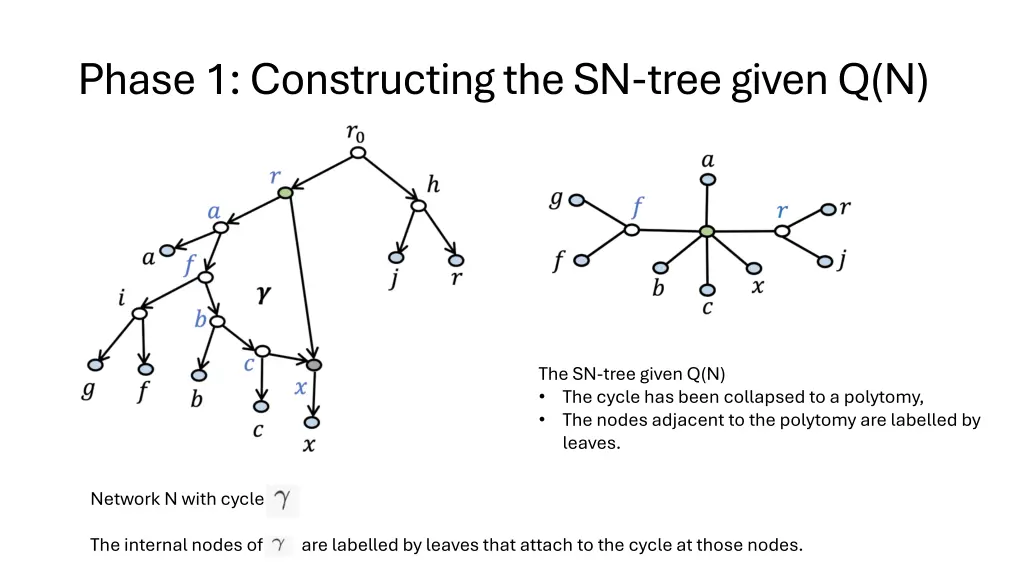 phase 1 constructing the sn tree given q n