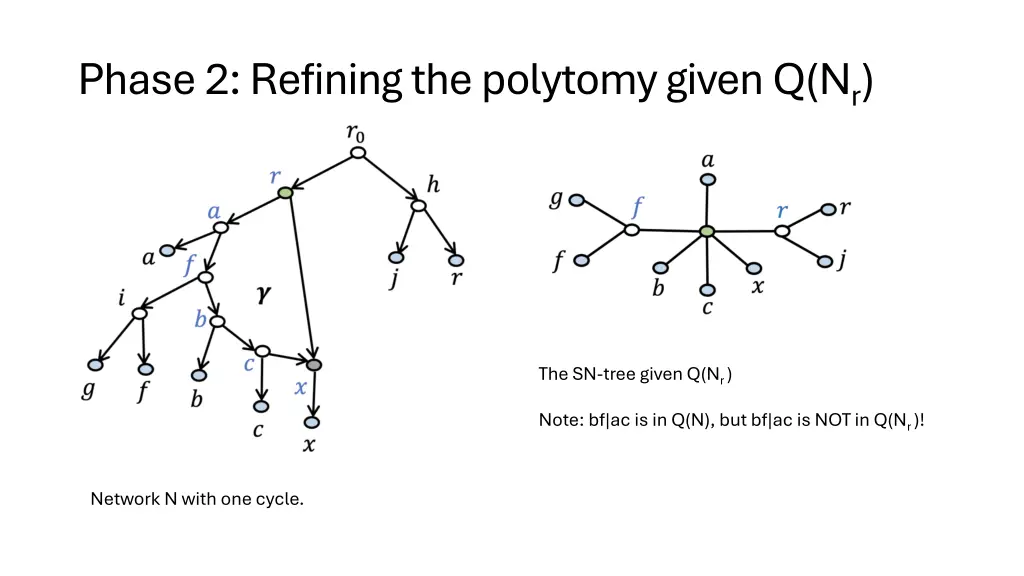 phase 2 refining the polytomy given q n r 1