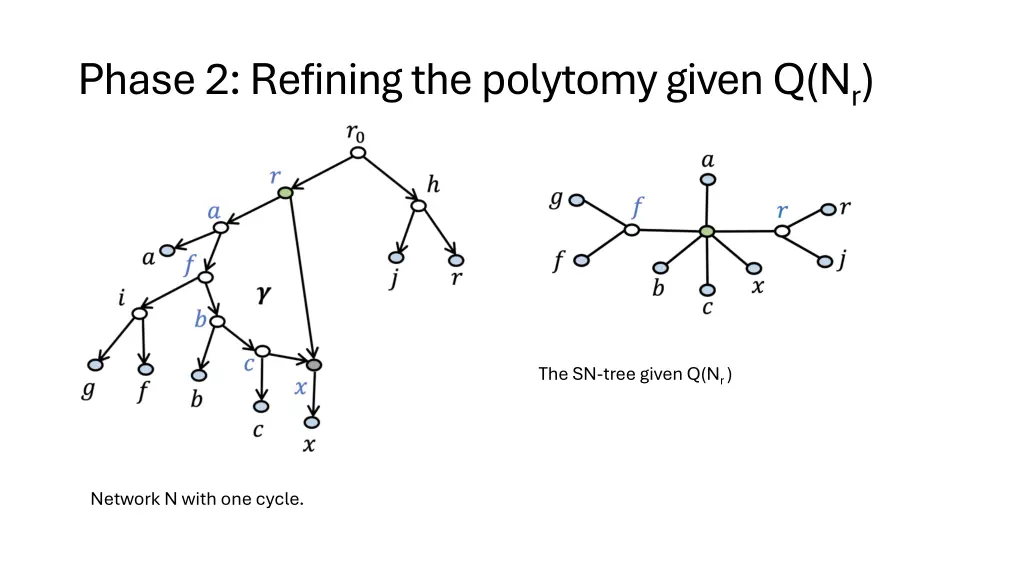 phase 2 refining the polytomy given q n r