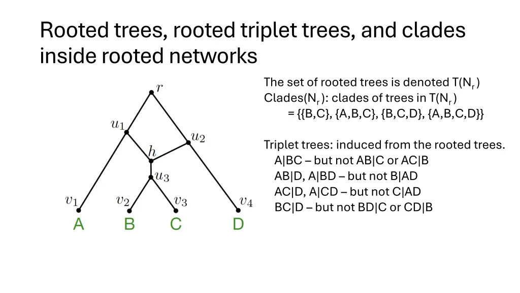 rooted trees rooted triplet trees and clades 1