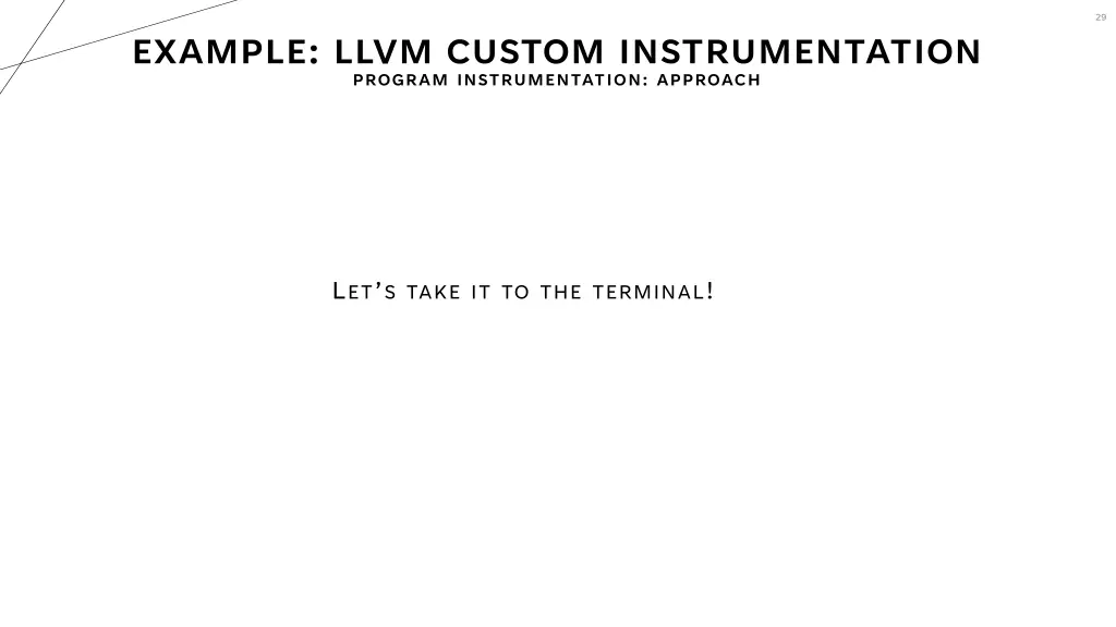 slide29