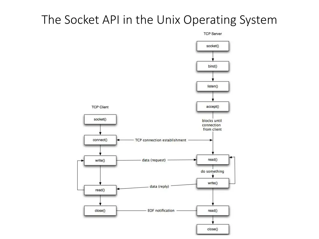 the socket api in the unix operating system