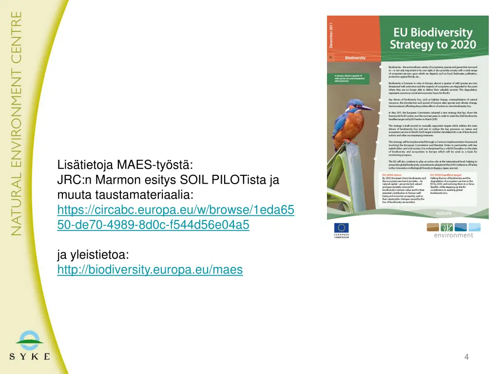 lis tietoja maes ty st jrc n marmon esitys soil