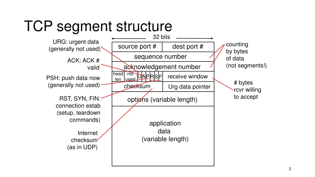 tcp segment structure
