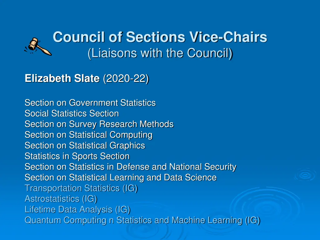 council of sections vice chairs liaisons with 2